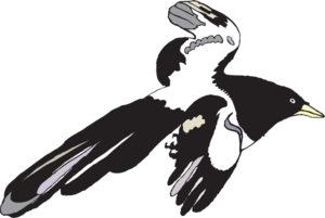 Flying Black And White Bird Clip Art